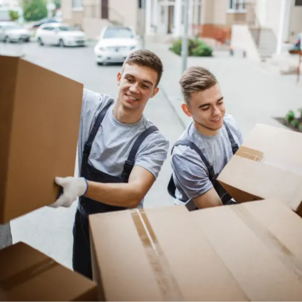 untitled424 20260324105327